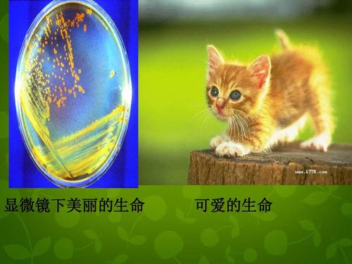世界因你我而美好