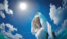 神秘的“水精灵”