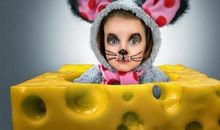 家有一小，如有一宝