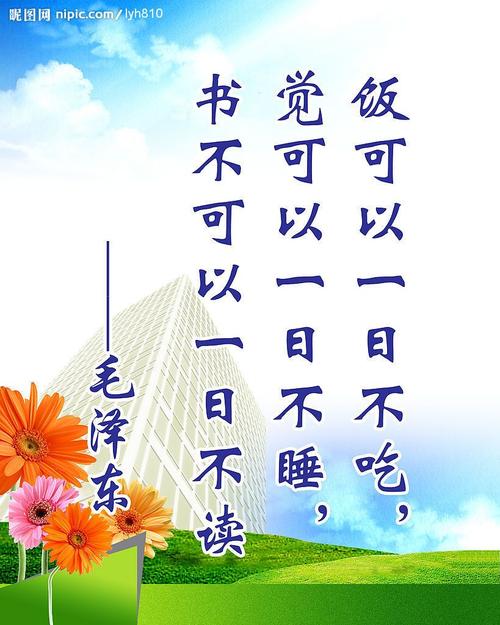 小书迷的读书梦想