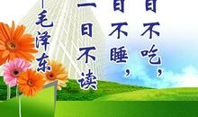 小书迷的读书梦