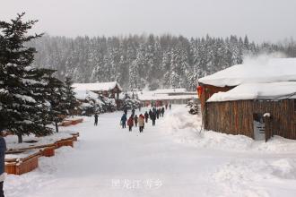 东北的雪城