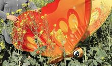 这故事让我喜欢大自然