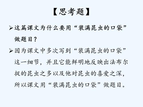 关于阅读《装满昆虫的口袋》的思考