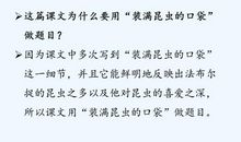 读《装满昆虫的衣袋》有感