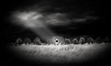 黑夜给了我黑色的眼睛