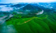 我为家乡的“婺源绿茶”代言