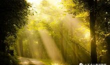 让人感觉幸福的大自然美妙音符