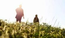 在树上度过一个春天