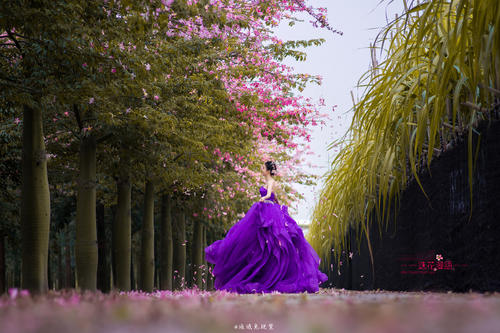 我记得花舞的那一刻