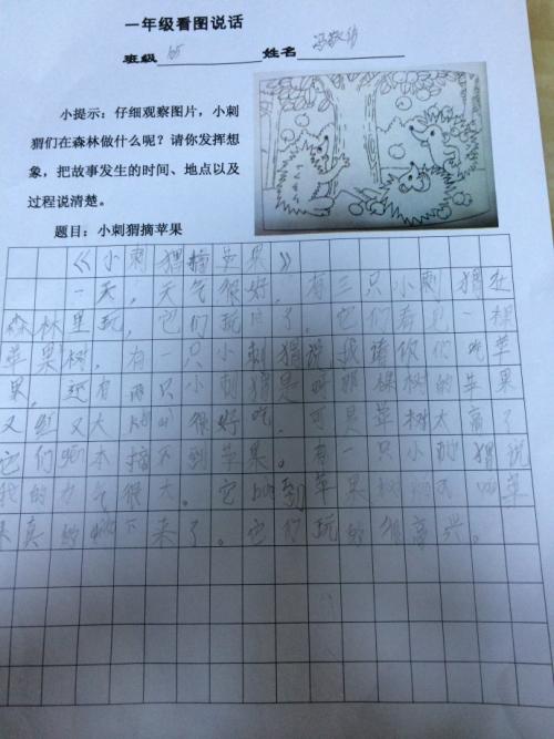 小刺猬摘苹果