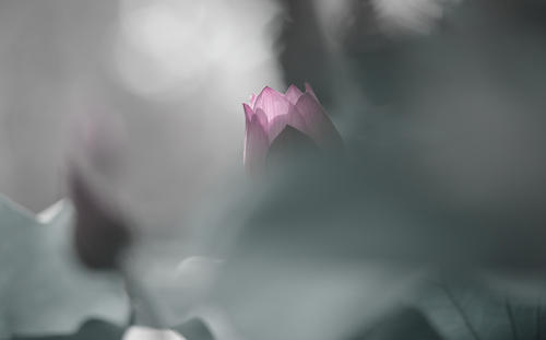 清梦