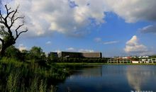 美丽的龙泉湖公园