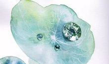 爱在心，口不言