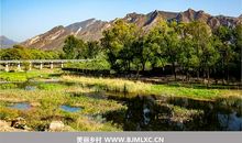 我喜欢的家乡的小河