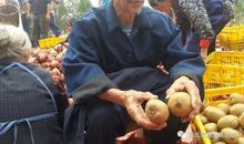 帮老人做一件事