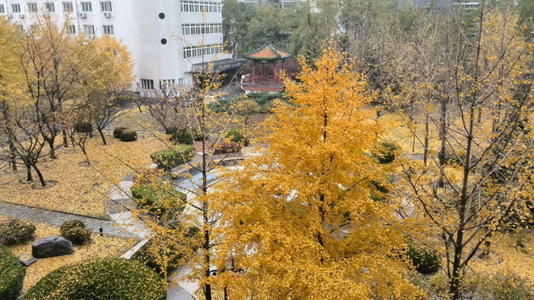 这个秋天不再郁闷