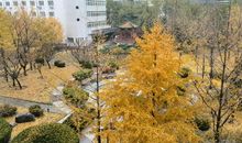 今年的秋，不再萧条