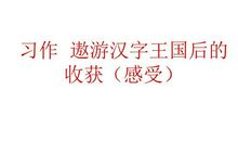 遨游汉字王国作文