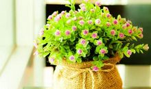 岁月易逝，你我易变