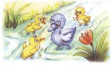 这个故事让我知道丑小鸭并不丑