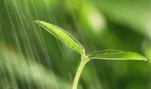 随风潜入夜润物细无声