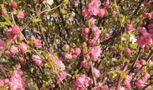 氤氲中慢慢走，慢慢改变