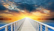 只要尝试，就能成功