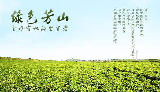 春季房山公园