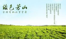 春天的芳山公园