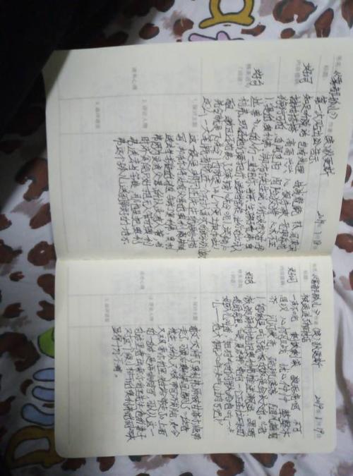 少年的荣耀
