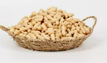 我家的“小花生”