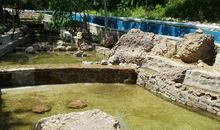 最美不过山叶口