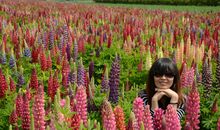 开在心中的鼓励之花