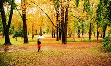 星星滋润了我的心田