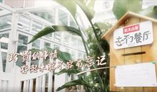 忘不了那双温暖的大手