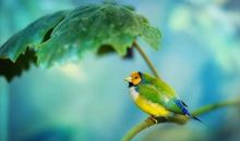 那段清凉的日子