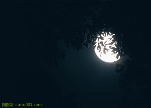 心之夜
