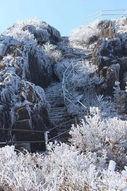 我的第一场雪