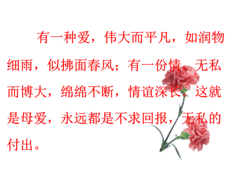 妈妈小姐
