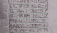 放风筝看图写话300字三年级