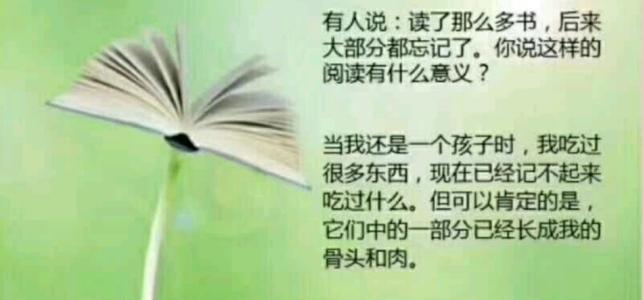 见大孝