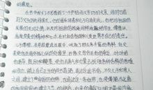 傅雷家书读后感200字