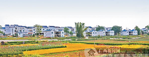 多彩的乡村