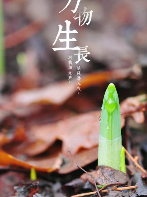 觉醒的春天