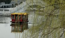 河堤的“春风”