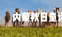 草原游学白桦林—驯鹿部落