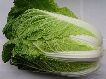 白菜历险记