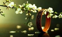 我牵挂的那株花