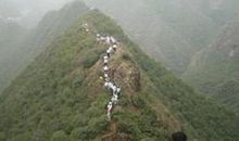 今天，我十岁了